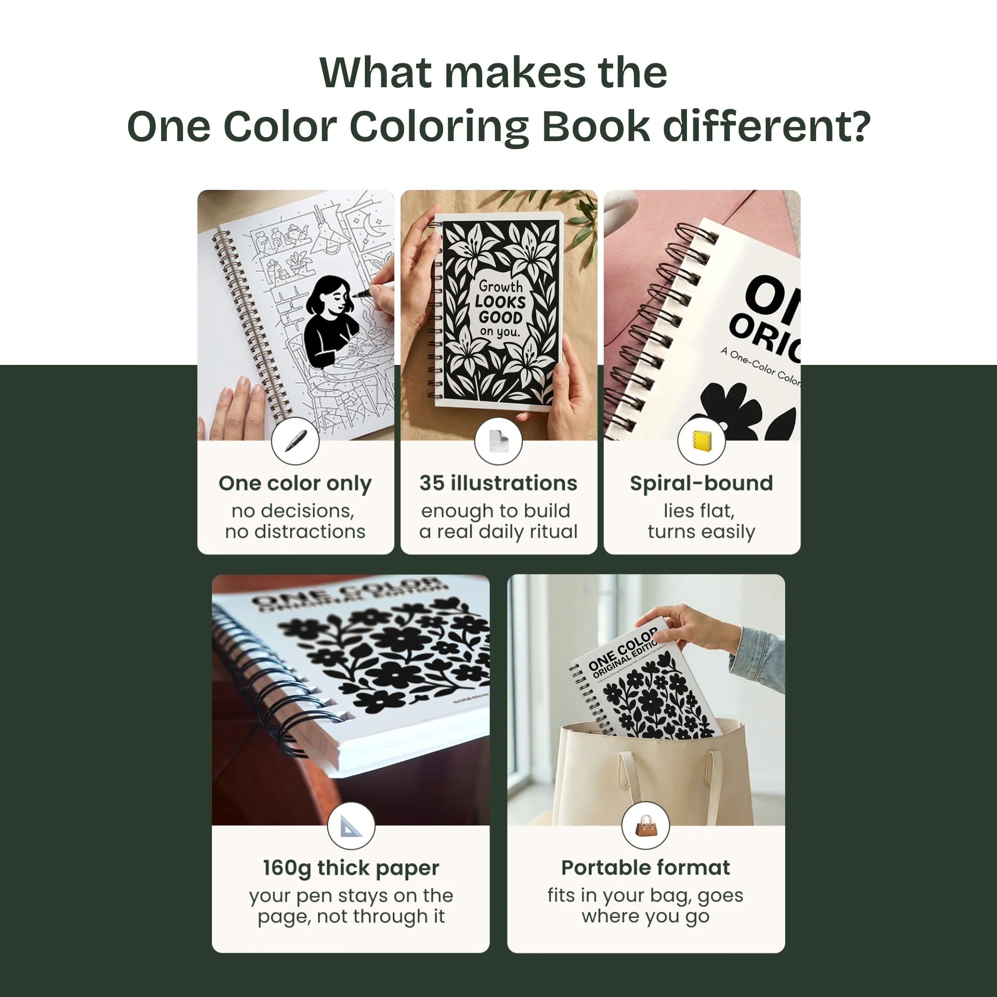 One Color Coloring Book - Ocean Edition - Image 7